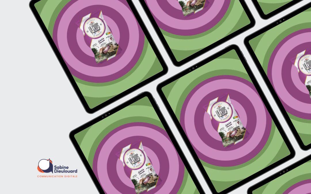 Création de contenu réseaux sociaux : Exercice sur Canva